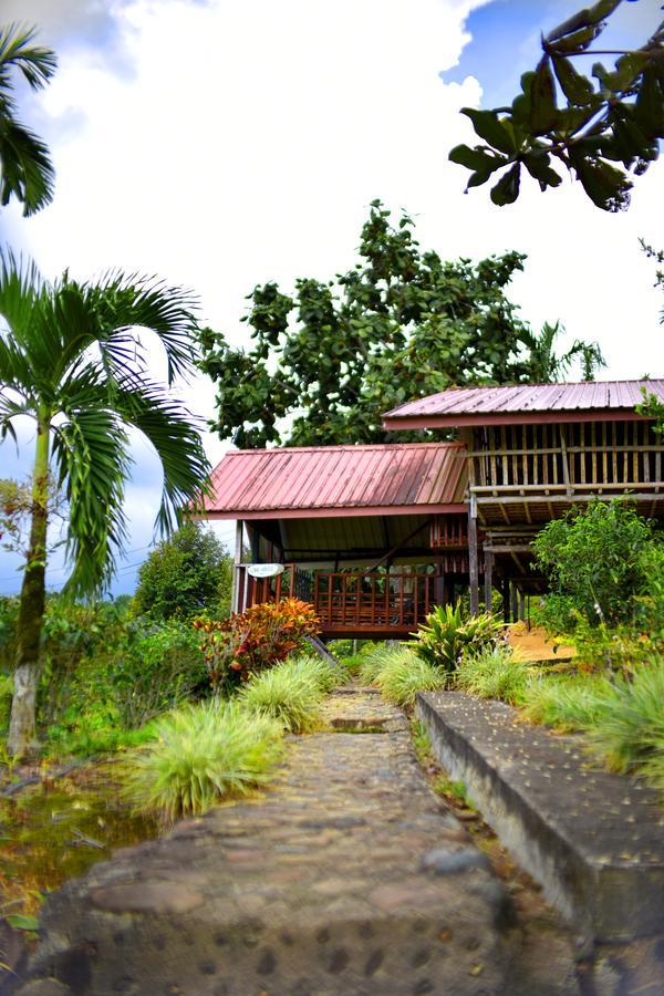 Sabah Tea Garden-Longhouses Ranau Exterior foto